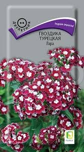 Гвоздика Турецкая Лара 0,3г Гвоздика Турецкая Лара 0,3г