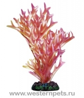Растение Блистер 20см Тритон 2047/Вестерн