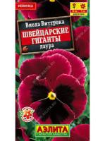 Виола Швейцарские гиганты Лаура 20шт