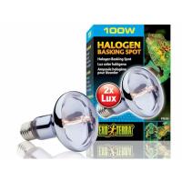 Лампа для черепах галогеновая Basking Spot 100Вт/PT2183/H221832/Триол Лампа для черепах галогеновая Basking Spot 100Вт/PT2183/H221832/Триол