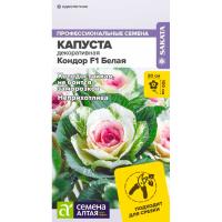 Капуста Кондор F1 Белая декоративная 5шт Сем Алт