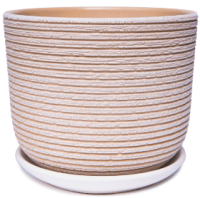 Лоза бежевый бук №3 2,8л