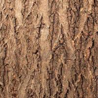 Фон для террариума Кора натуральная на пробке 435*410мм Repti-Zoo/84065007/Триол