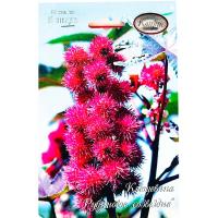 Клещевина Рубиновое созвездие 20*5шт Клещевина Рубиновое созвездие 20*5шт