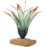 Растение LUCKY REPTILE Tillandsia 20см (Германия) IF-80 Растение LUCKY REPTILE Tillandsia 20см (Германия) IF-80