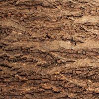 Фон для террариума Кора натуральная на пробке 585*410мм Repti-Zoo/84065008/Триол Фон для террариума Кора натуральная на пробке 585*410мм Repti-Zoo/84065008/Триол