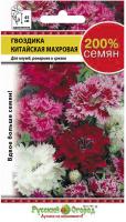 Гвоздика Китайская русский размер Гвоздика Китайская русский размер