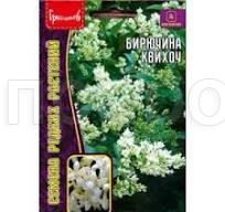 Бирючина Квихоу 10шт  Бирючина Квихоу 10шт