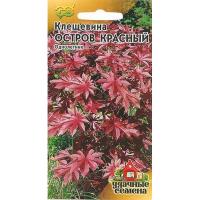 Клещевина Остров Красный 5 шт