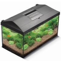 Крышка Палюдариум 10л