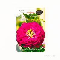Цинния Мишутка пурпурная 20*1 Цинния Мишутка пурпурная 20*1