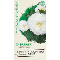 Бегония Фортуна Вайт F1 клубневая 4 шт