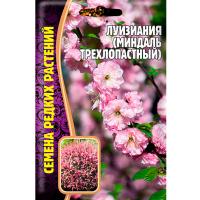 Луизиания (Миндаль трехлопастной) 3 шт Луизиания (Миндаль трехлопастной) 3 шт