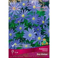 Анемона Бланда Блу Шейдс (5/6) 10 шт 839626