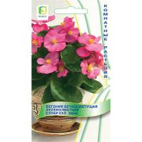 Бегония вечноцветущая зеленолистная Супер Кул Пинк 10шт Бегония вечноцветущая зеленолистная Супер Кул Пинк 10шт