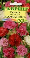 Гвоздика махровая Сказка смесь 0,1г  Гвоздика махровая Сказка смесь 0,1г