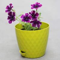 Кашпо Румба 1,5л киви с прик. поддоном