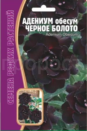 Адениум Черное Болото 3 шт Адениум Черное Болото 3 шт