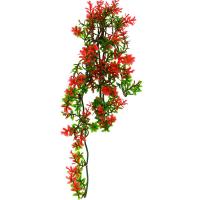 Растение LUCKY REPTILE Turtle Plant Ludwigia 40см (Германия) TP-40 Растение LUCKY REPTILE Turtle Plant Ludwigia 40см (Германия) TP-40