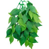 Растение Фикус 002TP 300мм Repti-Zoo/84045013/Триол Растение Фикус 002TP 300мм Repti-Zoo/84045013/Триол