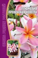 Плюмерия Прекрасная Невеста 3 шт