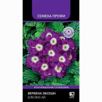 Вербена Обсешн Блю виз Ай 10шт