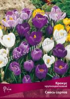 Крокус  смесь Сортов (7/8) 10шт