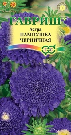 Астра Пампушка черничная 0,3 г, помпонная Астра Пампушка черничная 0,3 г, помпонная