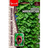 Редкие растения Кирказон манчжурский 20шт  Редкие растения Кирказон манчжурский 20шт