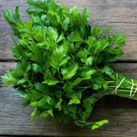 Петрушка листовая Итальянский Гигант 20г