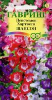 Пенстемон Хартвига Шансон наперстянковый 0,1г  Пенстемон Хартвига Шансон наперстянковый 0,1г