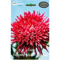 Астра Баретта Светло-красная 20*0,5  Астра Баретта Светло-красная 20*0,5