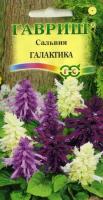 Сальвия Галактика карликовая смесь 6шт
