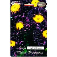 Астра Арлекино Фиолетовая 20*1 Астра Арлекино Фиолетовая 20*1