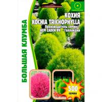 Кохия  (Kochia trichophylla) 500шт.