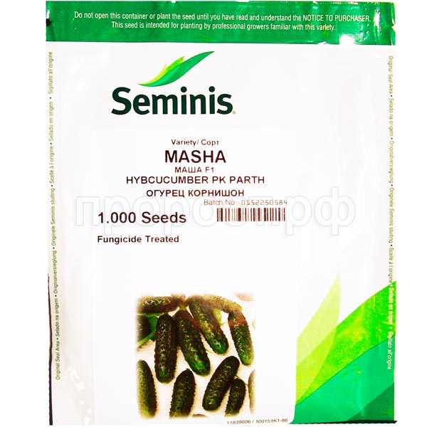 Огурец Маша F1 1000 шт Seminis