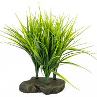 Растение LUCKY REPTILE Sumatra Grass 20см (Германия) IF-67 Растение LUCKY REPTILE Sumatra Grass 20см (Германия) IF-67