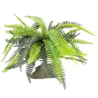 Растение LUCKY REPTILE Bamboo Fern 25см (Германия) IF-101 Растение LUCKY REPTILE Bamboo Fern 25см (Германия) IF-101