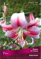 Лилия ОТ-Гибрид Анастасия (12-14) 5 шт 717811