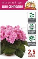 Сенполии 2,5л