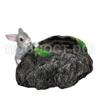 заяц у камня