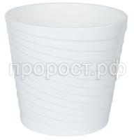 эйс белый эйс белый