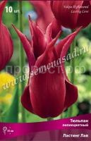 Тюльпан Лилиецветный Ластинг Лав (тёмно-красный, 10шт, 11-12) 673675