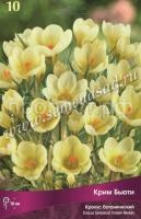 Крокус Крим Бьюти