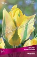 Тюльпан Зеленоцветный Формоза (жёлто-зелёный, 10шт, 11-12) 530870
