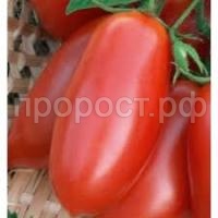 Без названия