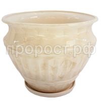 К125157_1 К125157_1