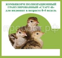 старт индюшата