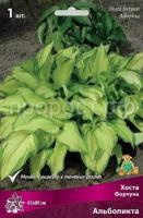 Хоста Форчуна Альбопикта