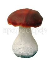 гриб231 гриб231